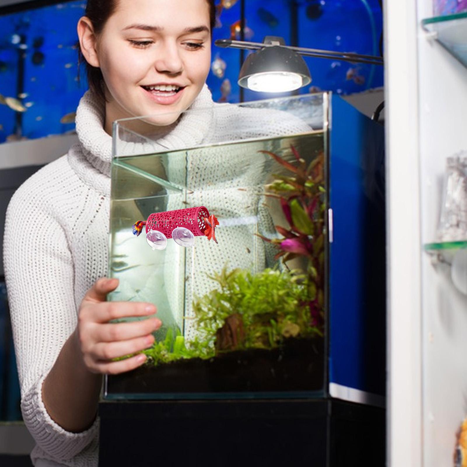 Betta Habitat Dinlenme Barınağ - Betta Fish Tank incelemesi ve fiyatı