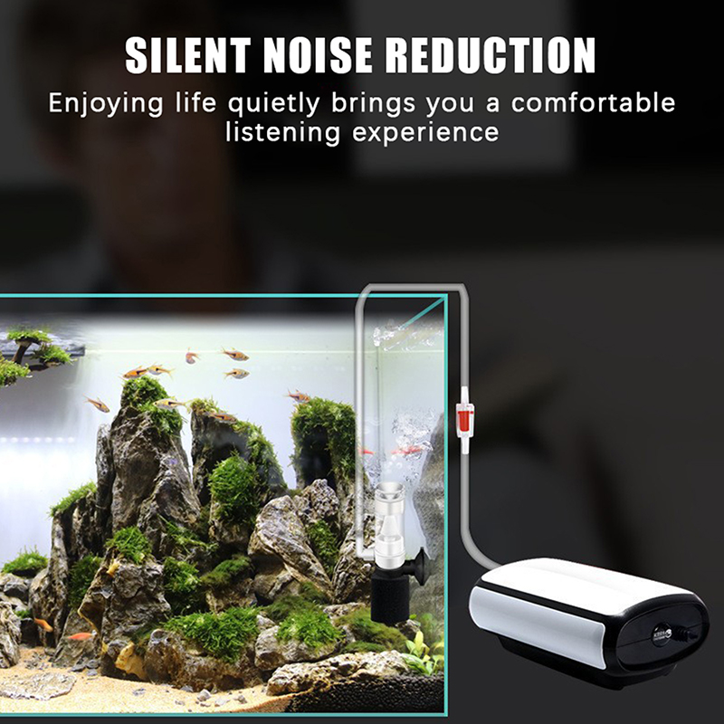 ♬ Hava ile Çalışan Süper Sessi - Betta Fish Tank incelemesi ve fiyatı