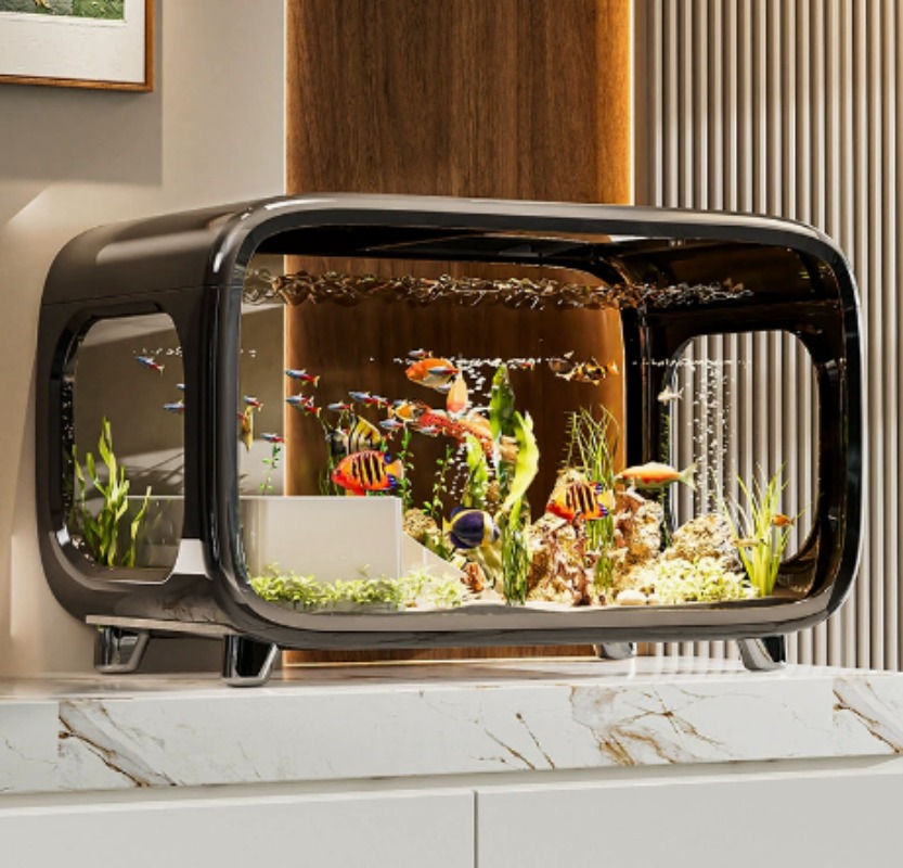 Yaratıcı, Şeffaf, Ekolojik Bal - Fish Aquarium Home incelemesi ve fiyatı
